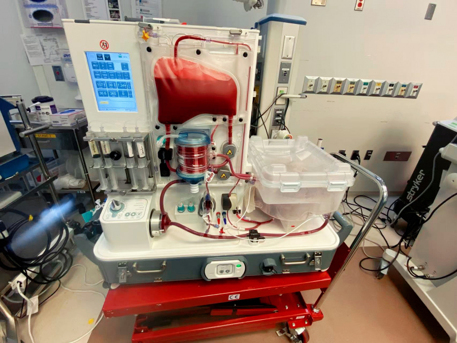 2024获奖者-刘 康-西安交通大学第一附属医院-美国芝加哥大学医学院2.jpg